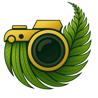 Open Fern Studio logo